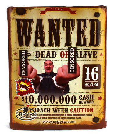 WYRZUTNIA WANTED - 16 strzałów - 20mm - 363-2 - SRPYRO